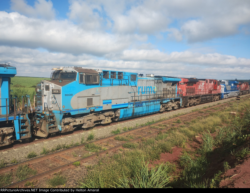 RUMO 9838